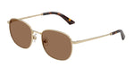 300673 - Pale Gold / Dark Brown
