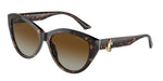 5002T5 - Havana / Polarized Gradient Brown