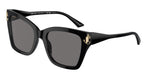 500081 - Black / Polarized Dark Grey