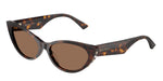 500273 - Havana / Dark Brown