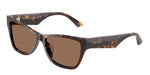 500273 - Havana / Dark Brown