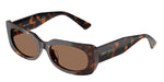 500273 - Havana / Dark Brown