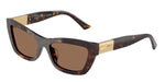 500273 - Havana / Dark Brown