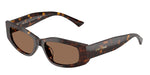 500273 - Havana / Dark Brown
