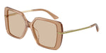 507693 - Transparent Tan / Light Brown