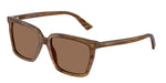 508573 - Brown Havana / Dark Brown