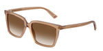 507613 - Transparent Tan / Gradient Brown