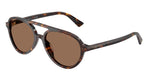 500273 - Havana / Dark Brown