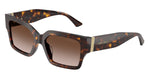 500213 - Havana / Brown Gradient