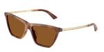509673 - Tan Havana / Dark Brown