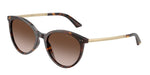 500213 - Havana / Gradient Brown