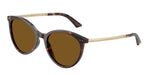 500283 - Havana / Dark Brown Polarized