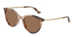 509773 - Havana / Dark Brown