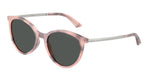 509887 - Rose Havana / Dark Grey