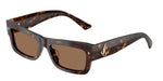 500273 - Havana / Dark Brown