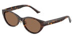 500273 - Havana / Dark Brown