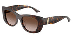 500213 - Havana / Brown Gradient
