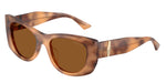 509673 - Tan Havana / Dark Brown