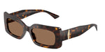 500273 - Havana / Dark Brown