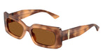 509673 - Tan Havana / Dark Brown
