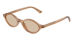507693 - Transparent Tan / Light Brown
