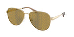 10149A - Light Gold / Dark Brown