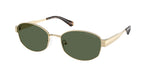 10149A - Light Gold / Green Polarized