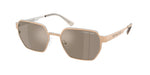 10145A - Gold Matte / Brown