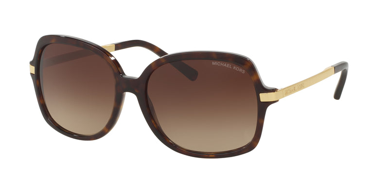 310613 - Dark Tortoise / Brown Gradient