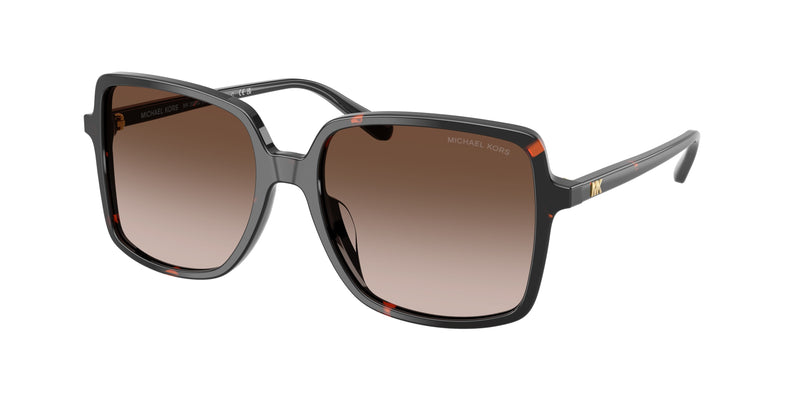 378113 - Dark Tortoise / Smoke Gradient