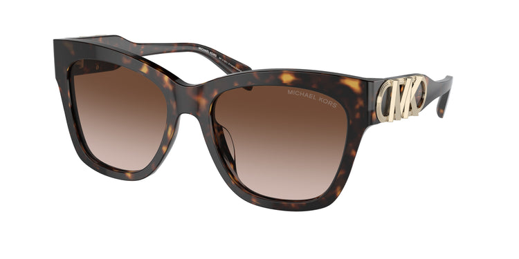 300613 - Dark Tortoise / Brown Gradient