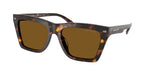 300683 - Dark Tortoise / Dark Brown Solid Polar