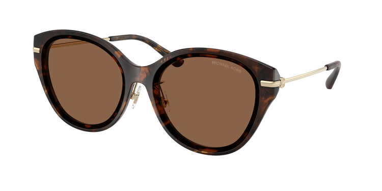 30063G - Dark Tortoise / Dark Brown Solid