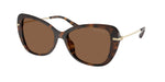 30063G - Dark Tortoise / Dark Brown Solid