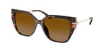 40319P - Luggage Tortoise / Brown Polarized