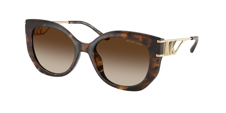 300613 - Dark Tortoise / Brown Gradient