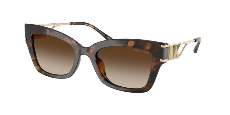 300613 - Dark Tortoise / Brown Gradient