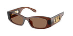 402173 - Brown Transparent / Brown Solid