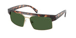 300671 - Dark Tortoise / Green