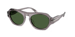 340071 - Grey Transparent / Green