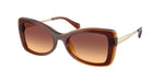 311378 - Dark Brown / Brown Gradient