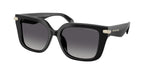3005T3 - Black / Grey Polarized