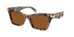 393073 - Vintage Tortoise / Amber