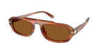 403973 - Brown Horn / Amber