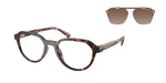 300613 - Dark Tortoise / Smoke Gradient