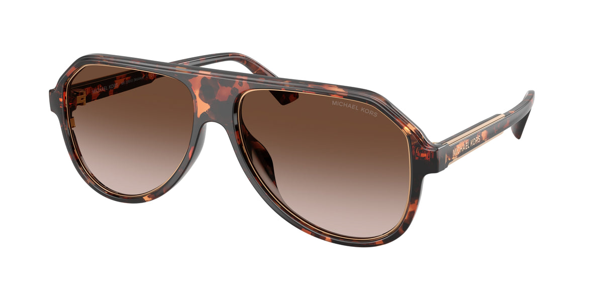 300613 - Dark Tortoise / Smoke Gradient