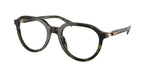 3943 - Olive Tortoise / Demo Lens