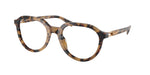 4006 - Vintage Tortoise / Demo Lens