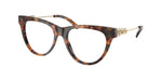 3904 - Jet Set Tortoise / Transparent