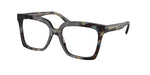 3952 - Blue Tortoise / Demo Lens
